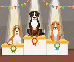 Dog show winners